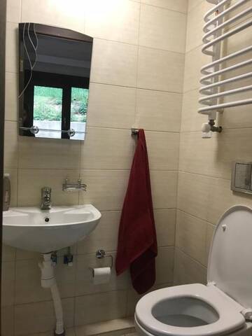 Фото номера Апартаменты - 1-й этаж Отель Villa Medova г. Косов 13